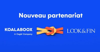 koala lookandfin FB koala lookandfin FB